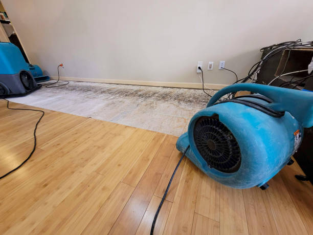Professional Flood Damage Cleanup technician working in Parrish, AL